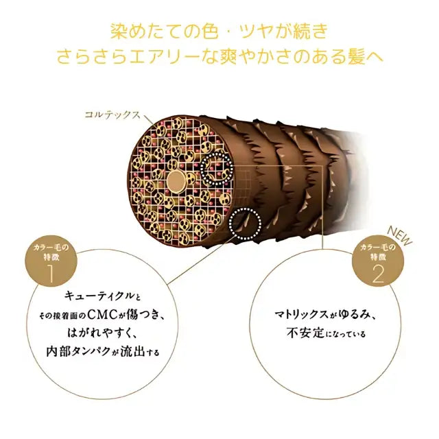 BCクア カラーセーブシャンプー