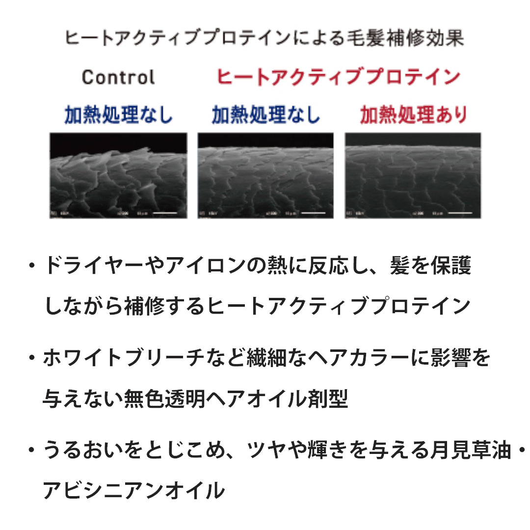 シュワルツコフ ファイバープレックス ボンドオイル