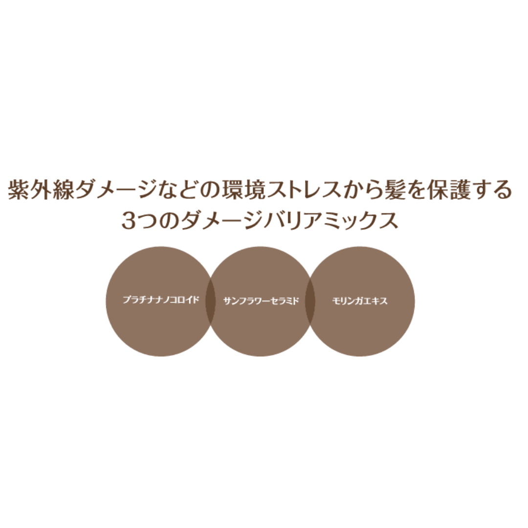 フィヨーレ クリエイティブデザイン カールホイップムース