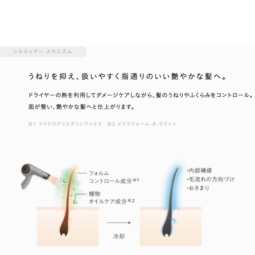 ルベル ジオフレイマン シルエッター