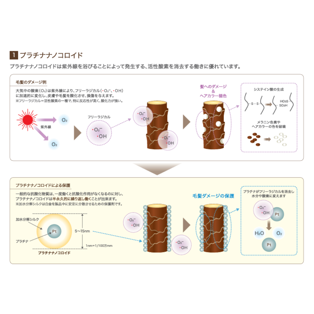 フィヨーレ クリエイティブデザイン カールホイップムース