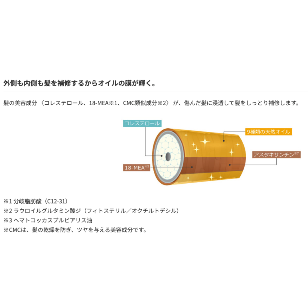 リトルサイエンティスト アジアンムーン