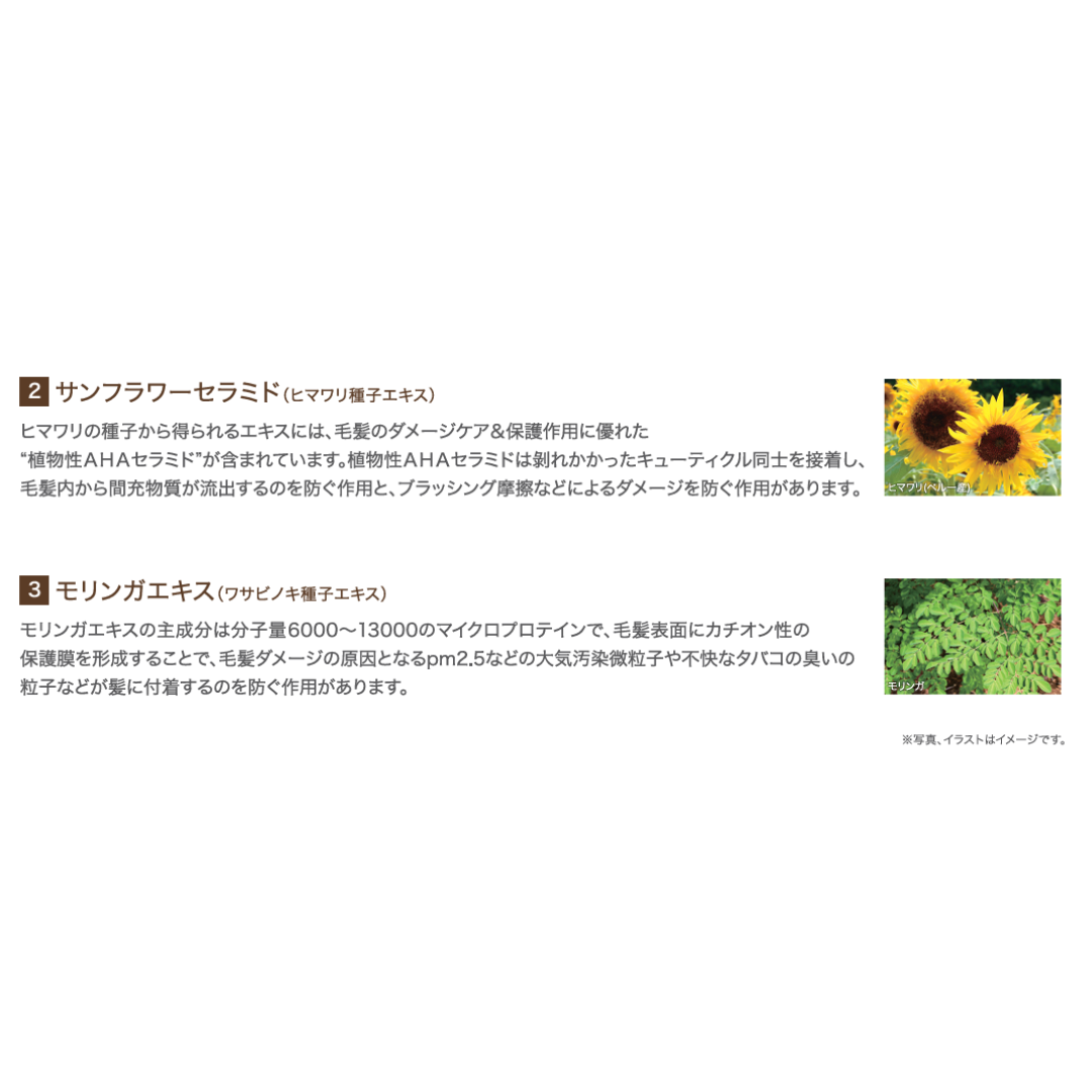 フィヨーレ クリエイティブデザイン カールホイップムース