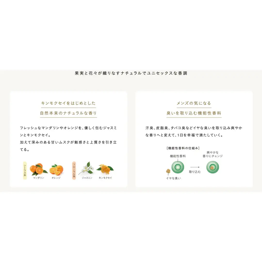 THEÓ FREIMAN (ジオフレイマン) クリアヴェール