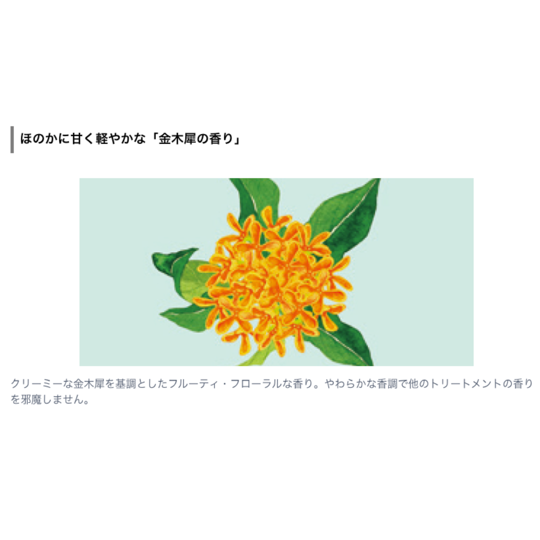 ルベル エドル カラーシャンプー ポップピンク