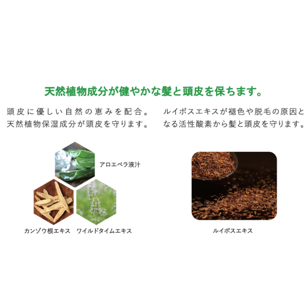 リトルサイエンティスト トイトイトーイ トリートメント