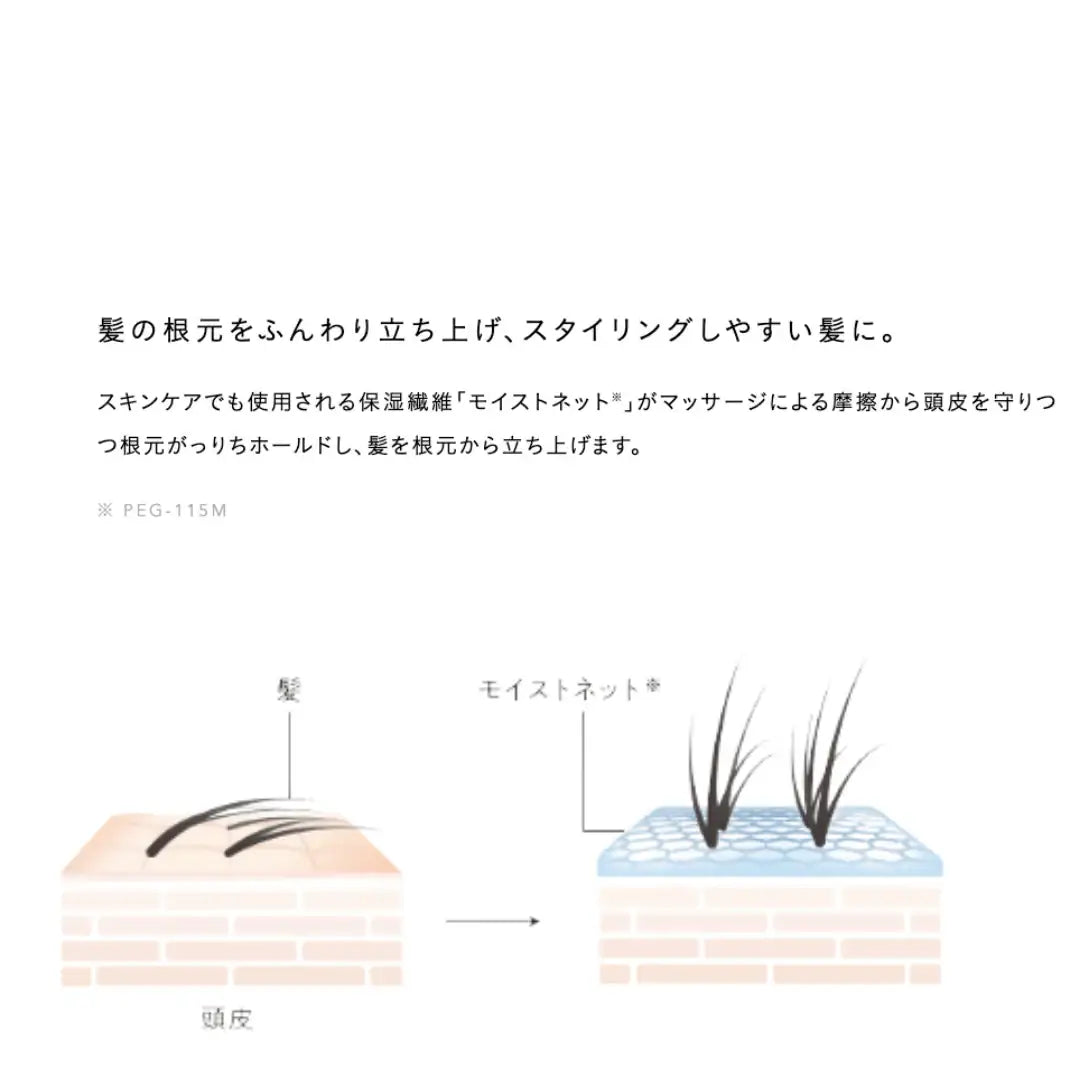 THEÓ FREIMAN (ジオフレイマン) ルートウェイク