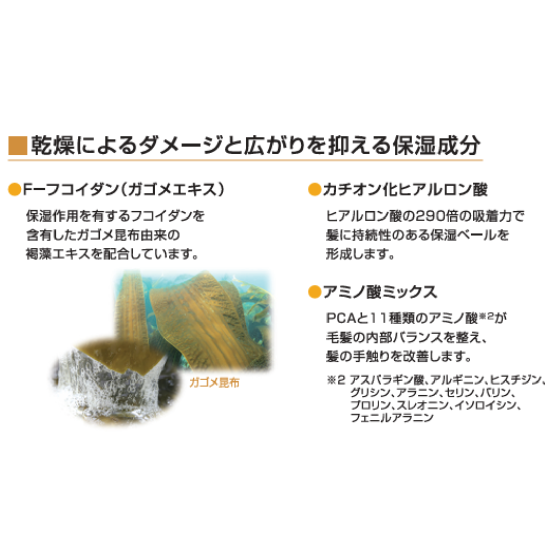 フィヨーレ Fプロテクト フォルムキーパー