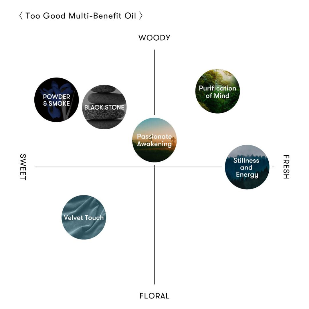 SINN PURETE(シンピュルテ) トゥーグッド マルチベネフィットオイル / Black Stone