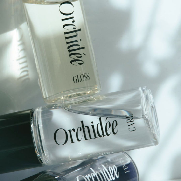 Maison Orchidée（メゾンオルキデ）