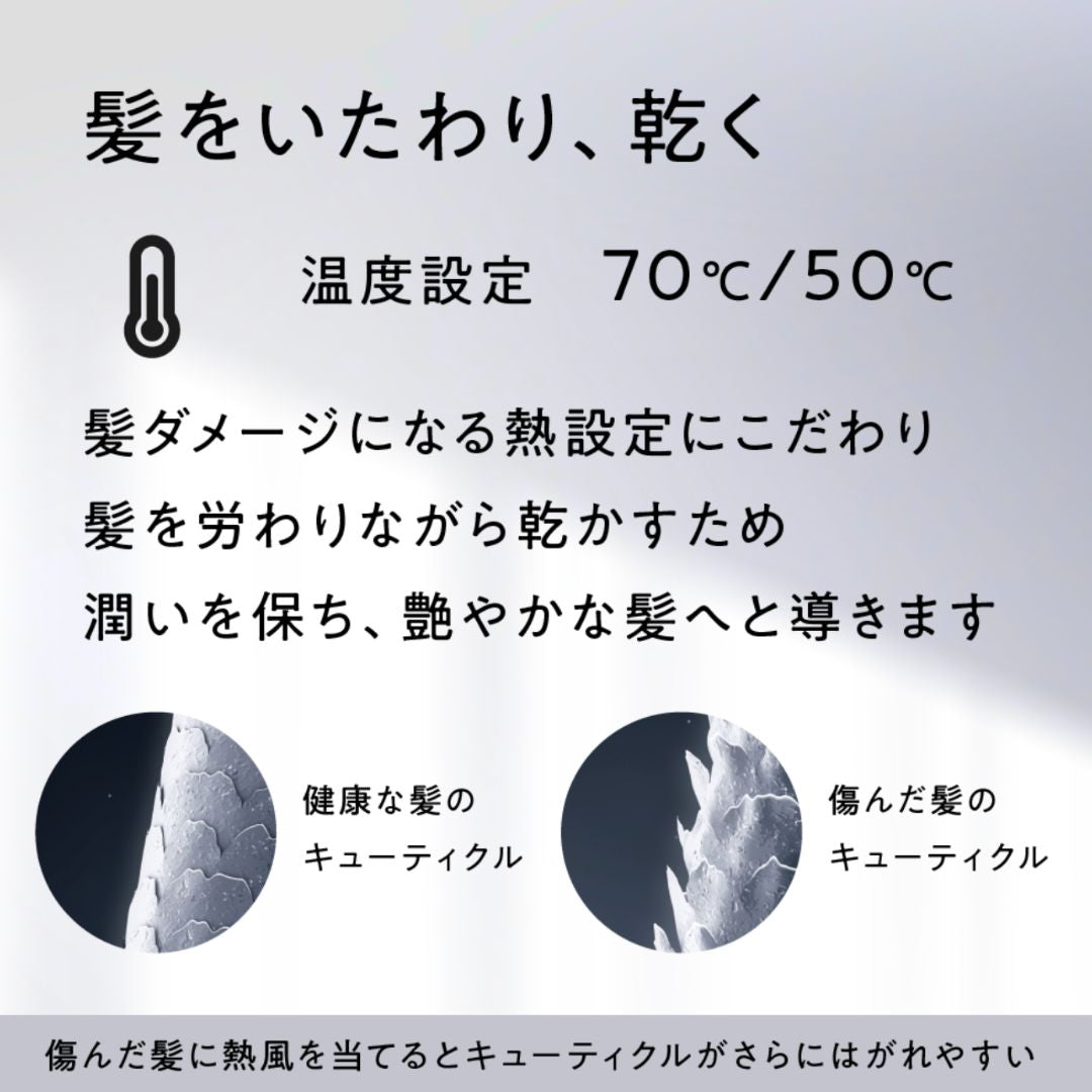 アイビルプロドライヤー 1200