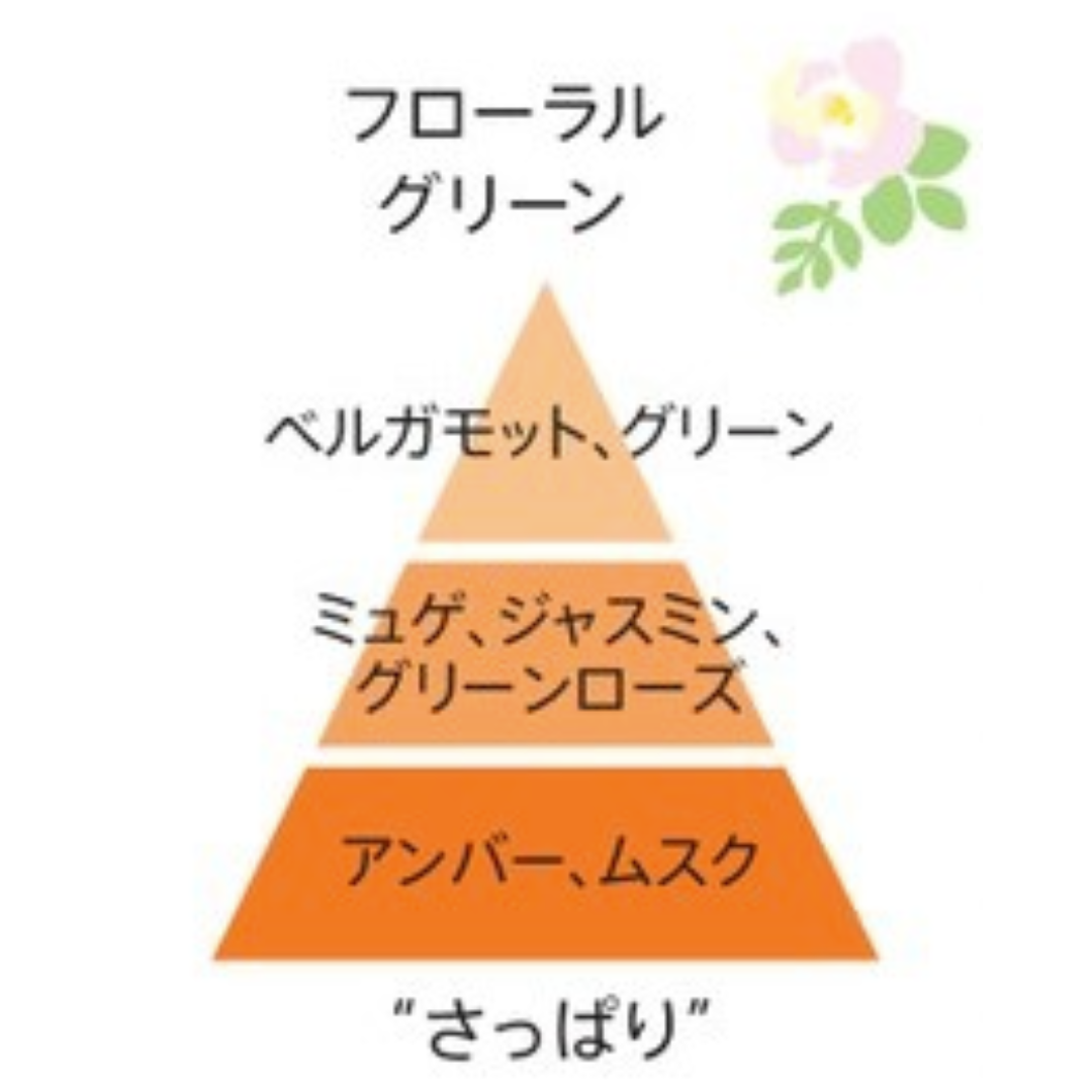 ルベル イオ クレンジング クリアメント