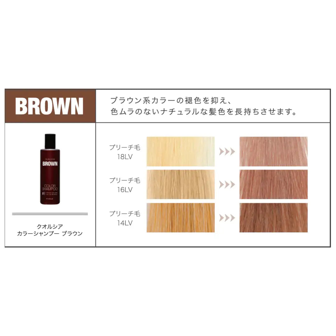 QUALUCIA (クオルシア) カラーシャンプー ブラウン – アロッタ QUALUCIA (クオルシア) カラーシャンプー ブラウン – アロッタ