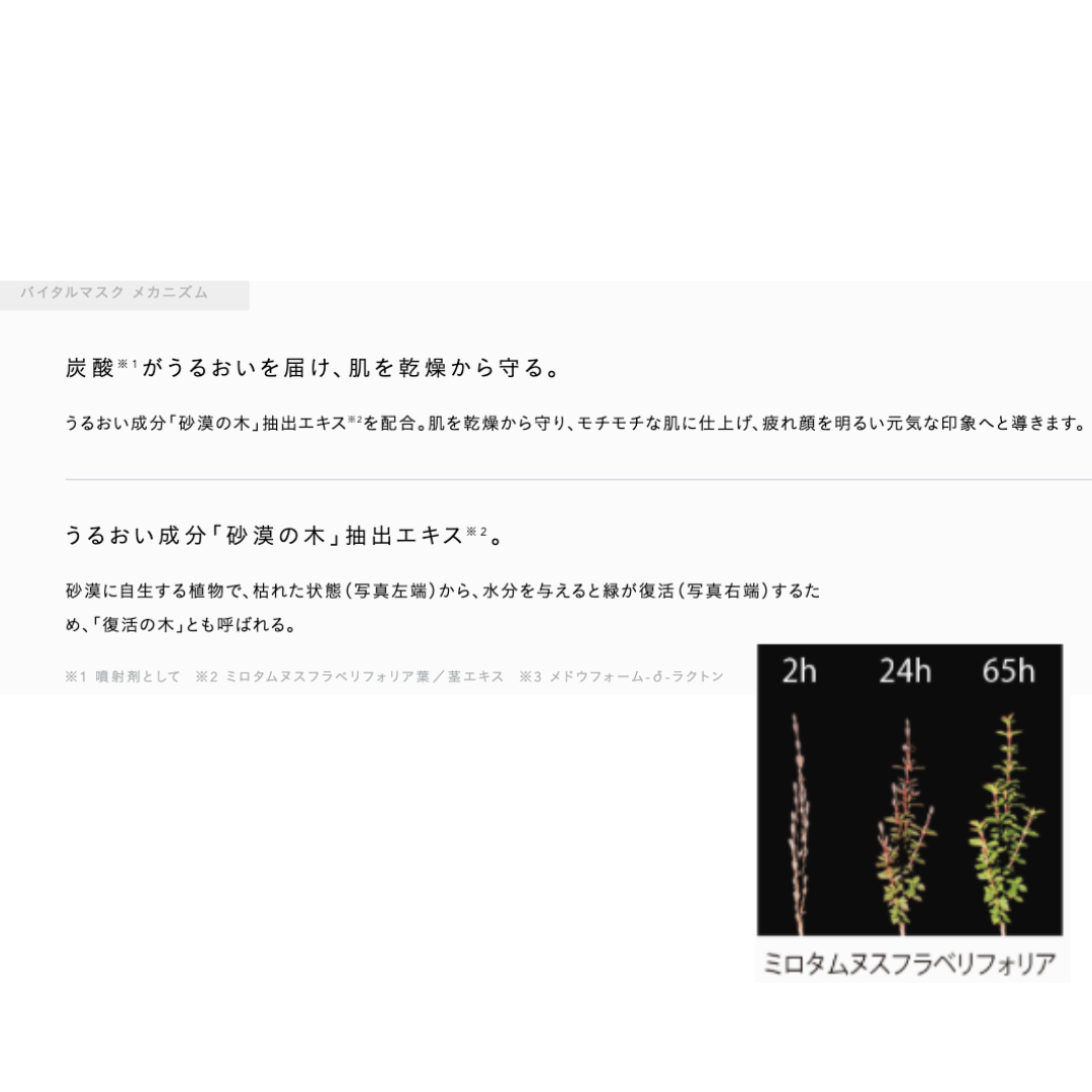ルベル ジオフレイマン バイタルマスク
