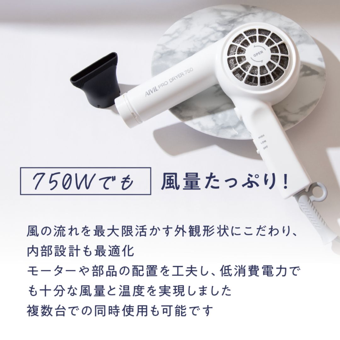 アイビルプロドライヤー 750