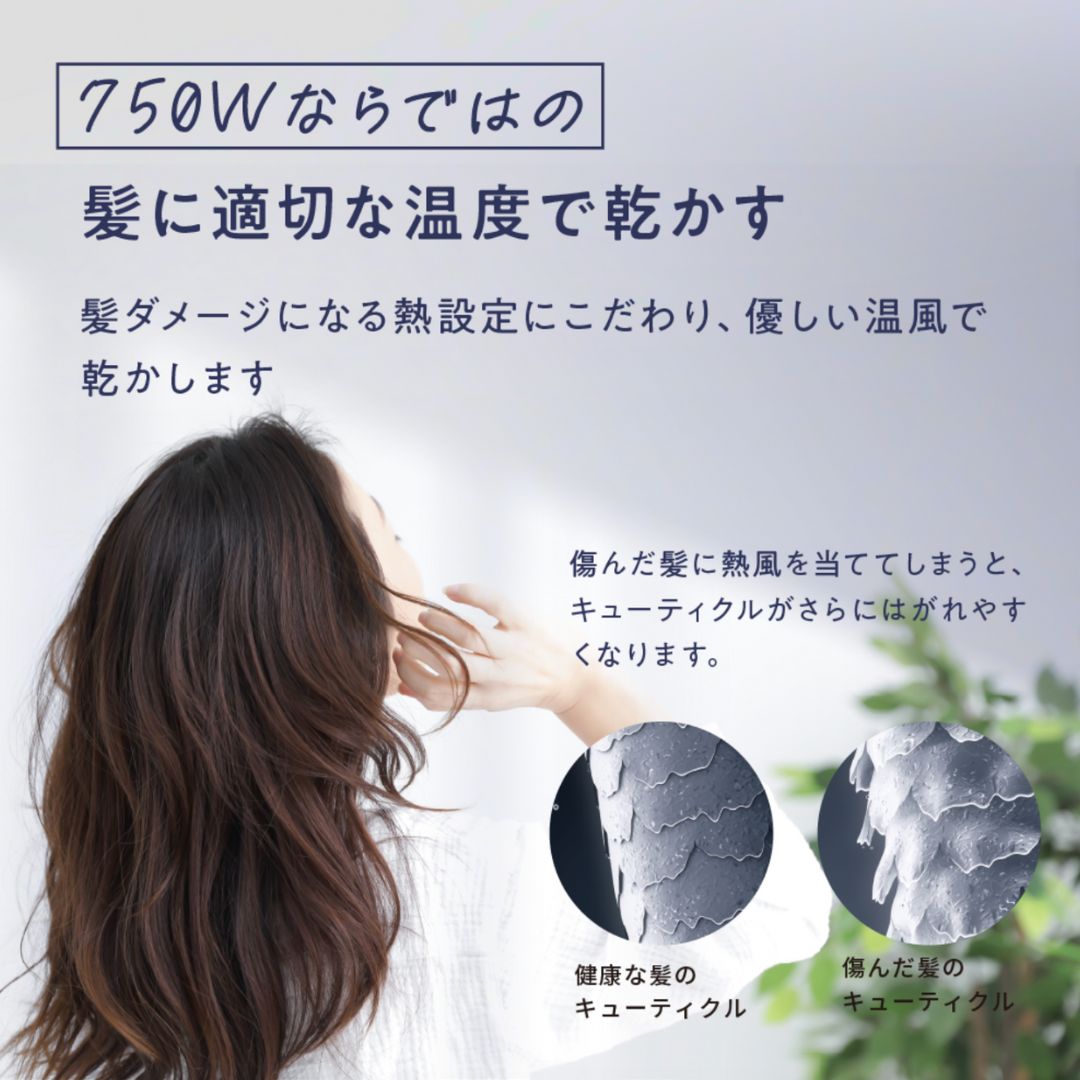 アイビルプロドライヤー 750