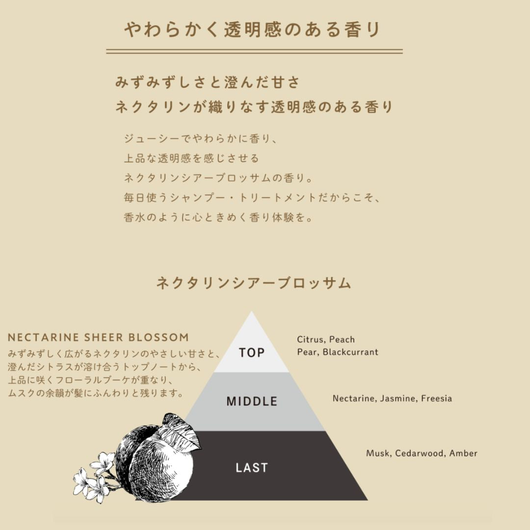 Deep Layer(ディープレイヤー) トリートメント ExV エクストラベルベッティ