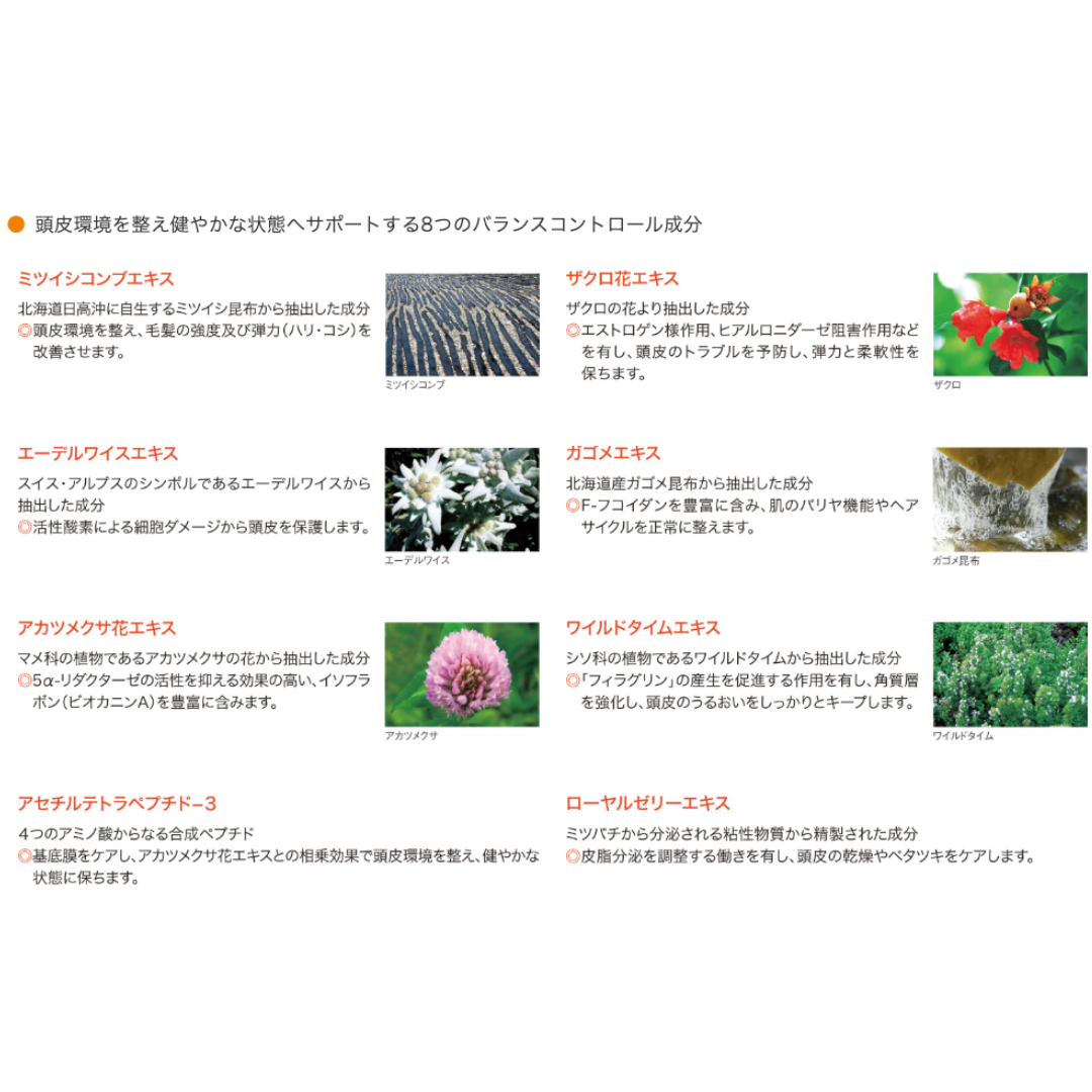 フィヨーレ Fプロテクト クラッキングスカルプ
