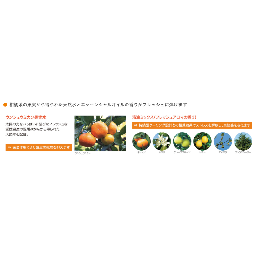 フィヨーレ Fプロテクト クラッキングスカルプ