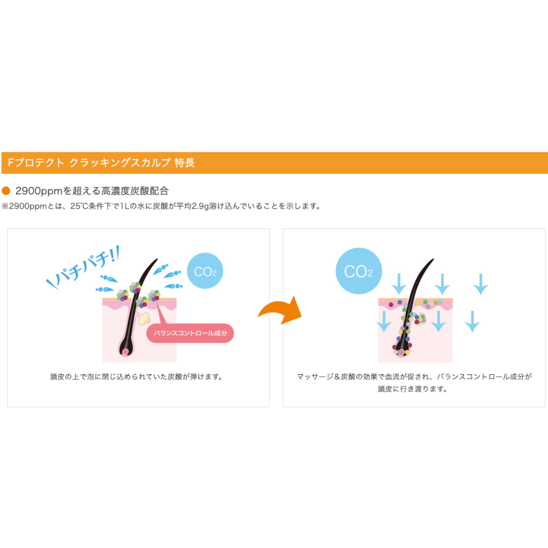 フィヨーレ Fプロテクト クラッキングスカルプ