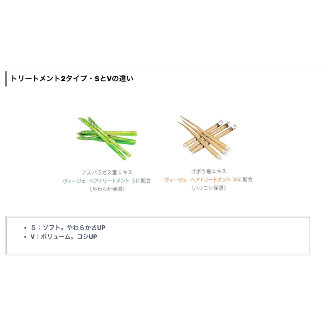 ルベル ヴィージェ ヘアトリートメント S