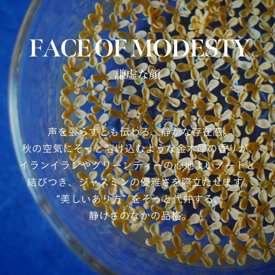 SINN PURETE(シンピュルテ) ヘア オイルミルク / FACE OF MODESTY