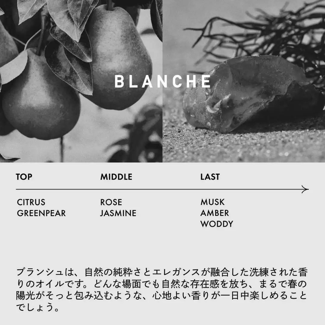 LOA THE EMULSION (ロアザエマルジョン) BLANCHE ブランシュ