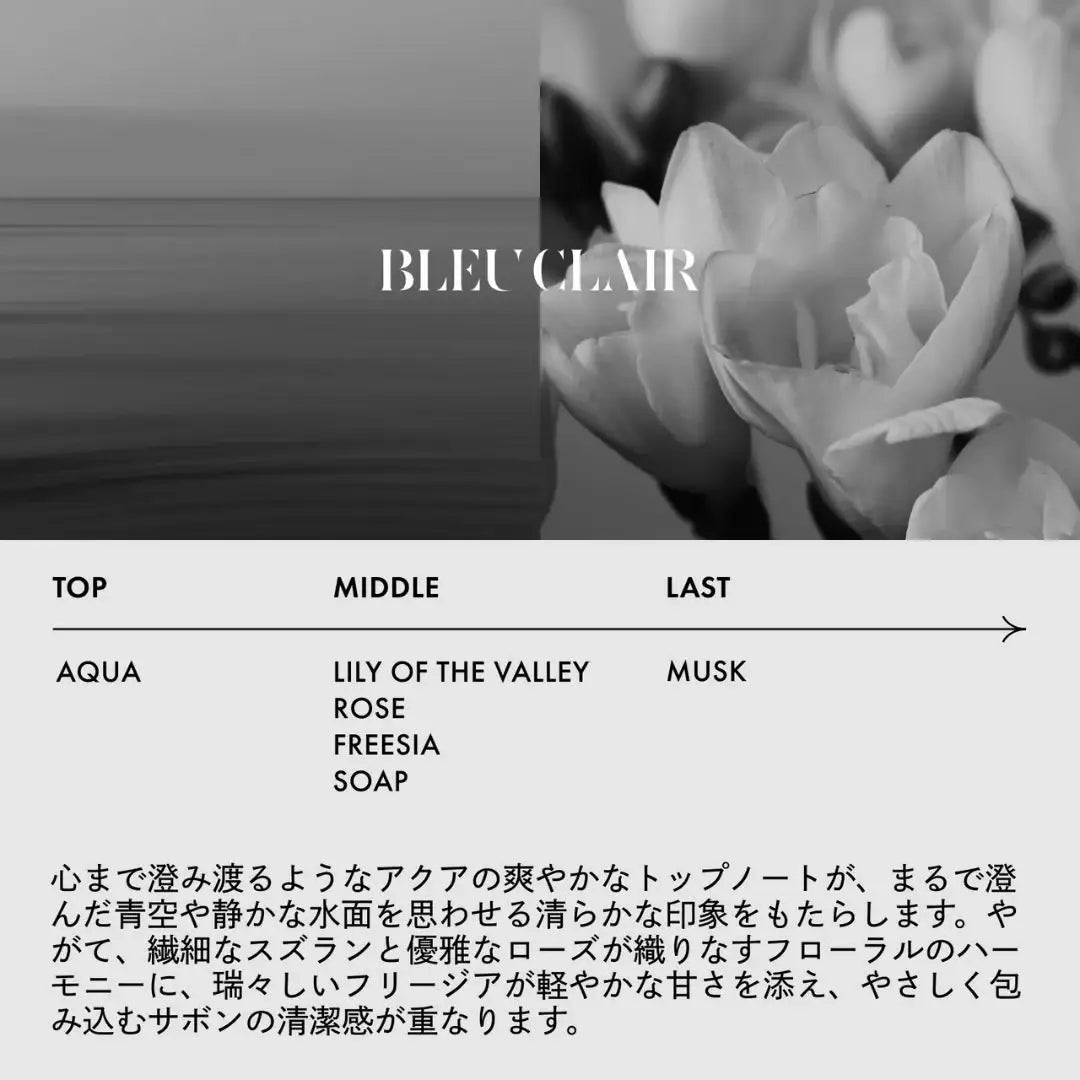 LOA THE EMULSION (ロアザエマルジョン) BLEU CLAIR ブルークレール
