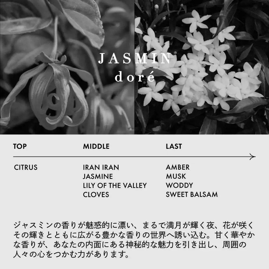 LOA THE EMULSION (ロアザエマルジョン) JASMIN dore ジャスミンドレ