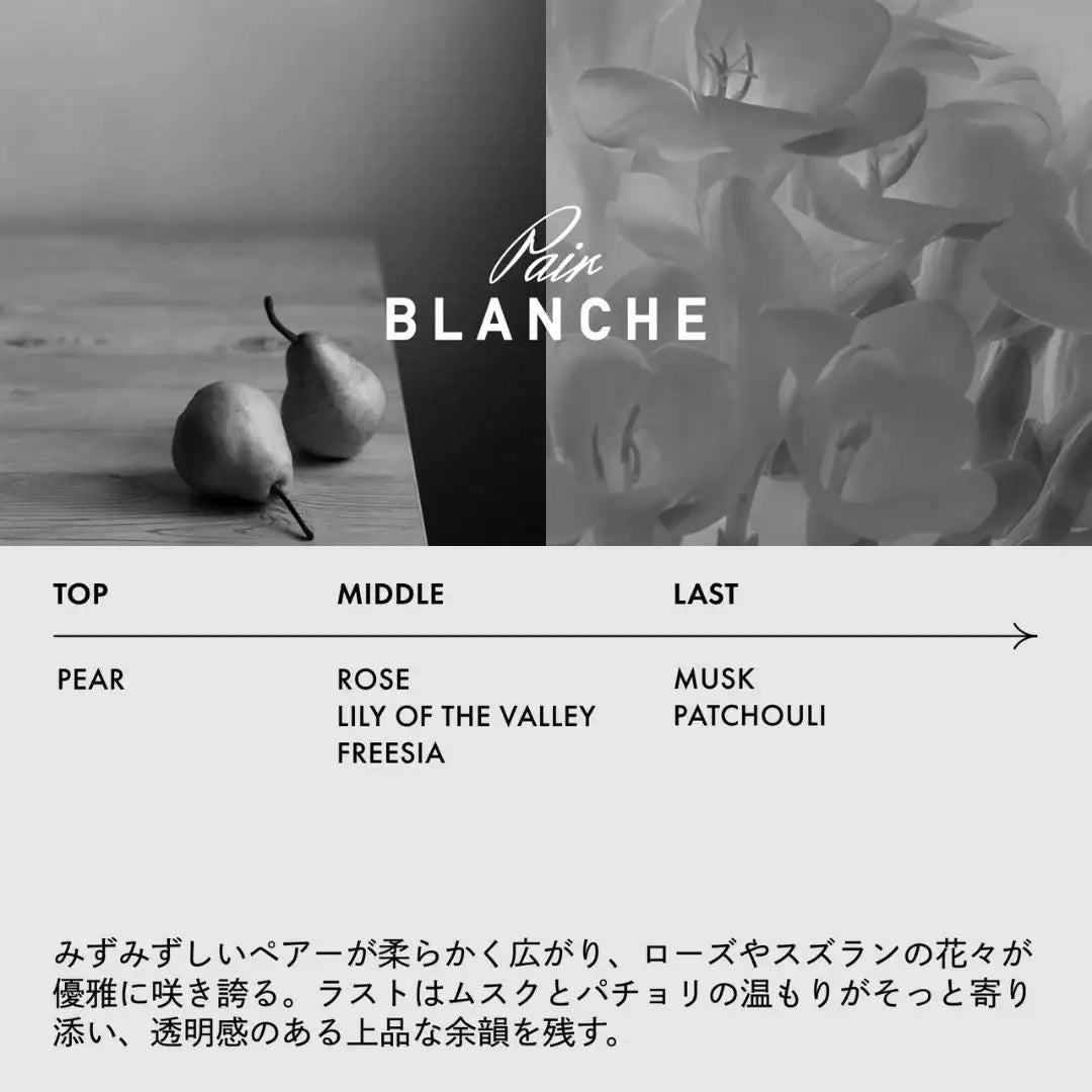 LOA THE EMULSION (ロアザエマルジョン) Pair BLANCHE ペアブランシュ
