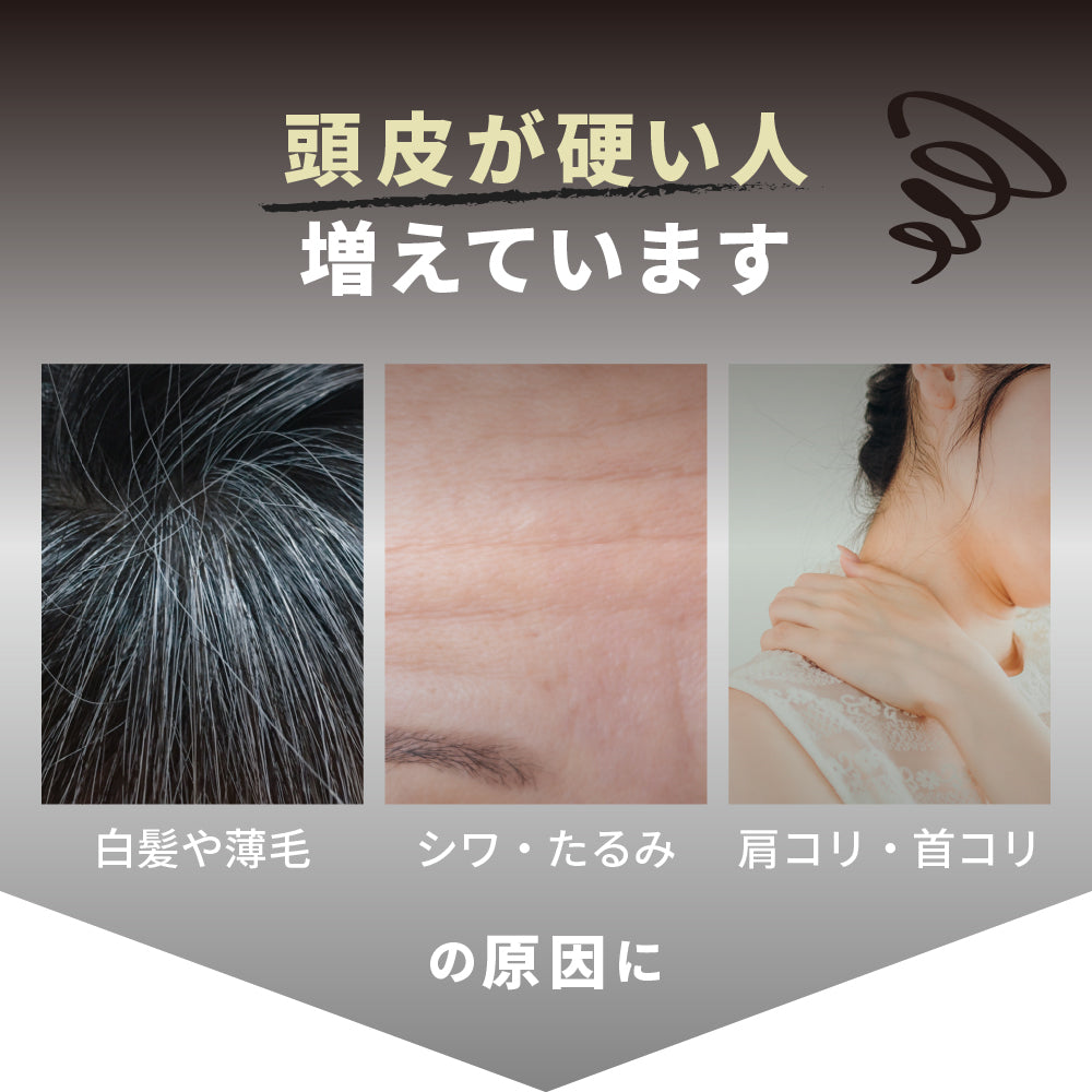 アイビル スカルプブラシ