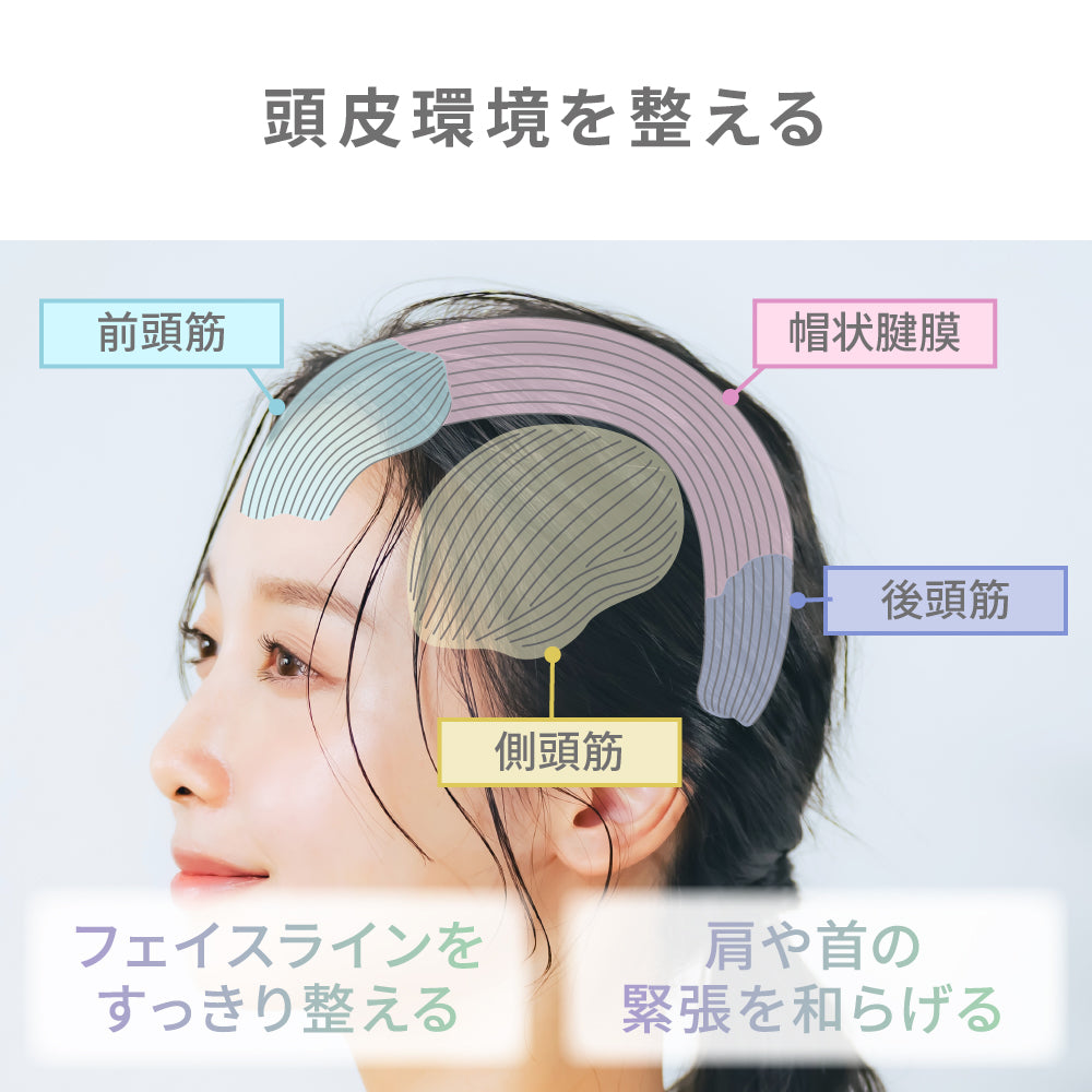 アイビル スカルプブラシ