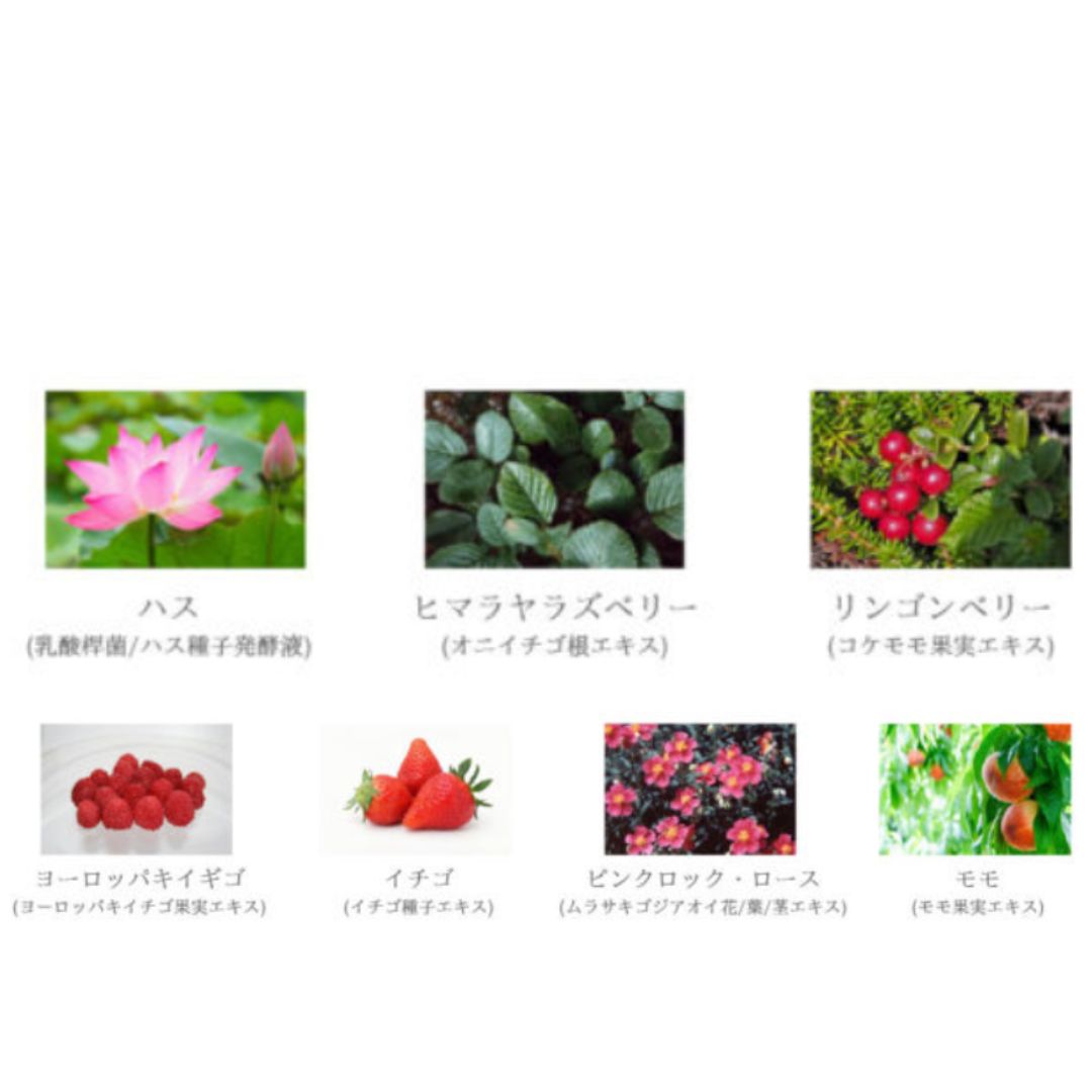 ソフ　ブライティングミスト　ベリームスク　成分