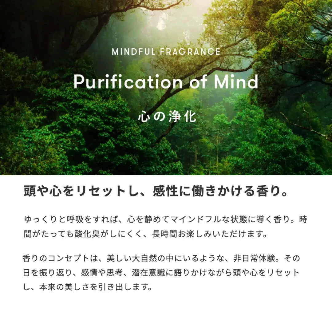 SINN PURETE (シンピュルテ) トゥーグッド マルチベネフィットオイル / Purification of Mind