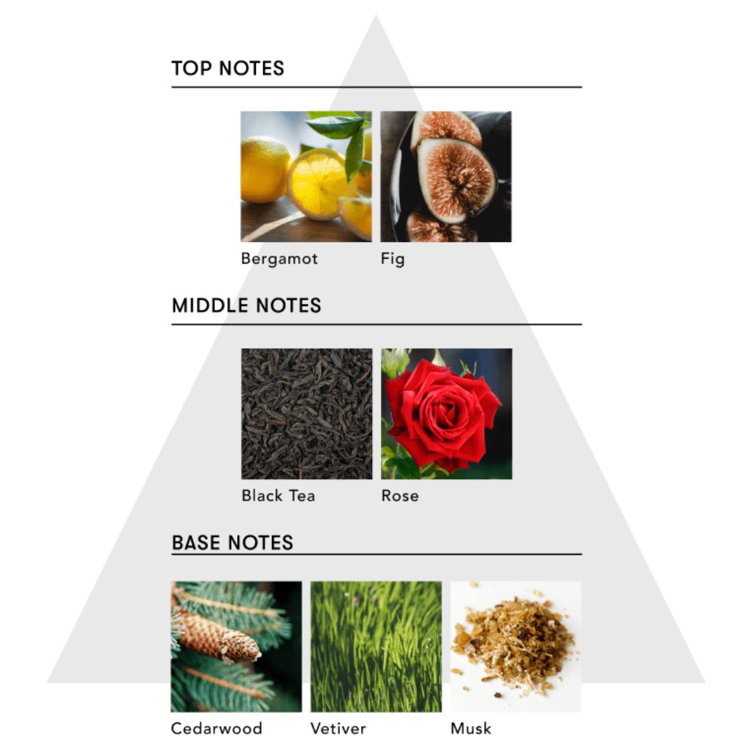 SINN PURETE(シンピュルテ) トゥーグッド マルチベネフィットオイル / Black Stone